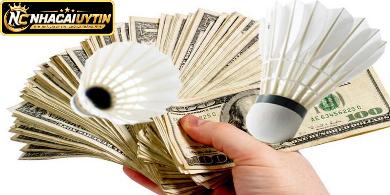 Cá Cược Cầu Lông là gì và vì sao ngày càng được yêu thích?