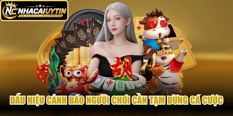 Dấu hiệu cảnh báo người chơi cần tạm dừng cá cược