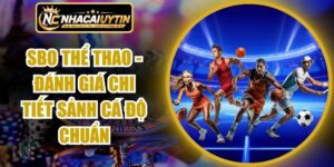SBO Thể Thao