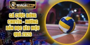 Cá Cược Bóng Chuyền