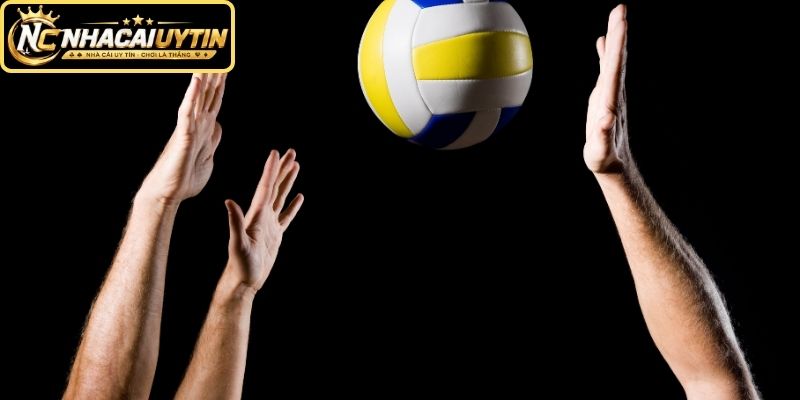 Quy trình phân tích trận đấu trước khi xác nhận vé cược